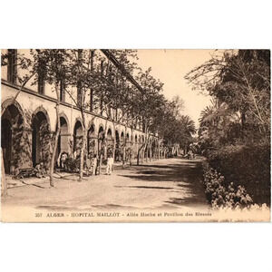 257 ALGER HOPITAL MAILLOT Allée Hoche et Pavillon des Blessés Postcard